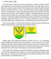 /album/znak-v-almanachu-obce-jivina/almanach-obce-jivina-2-jpg/